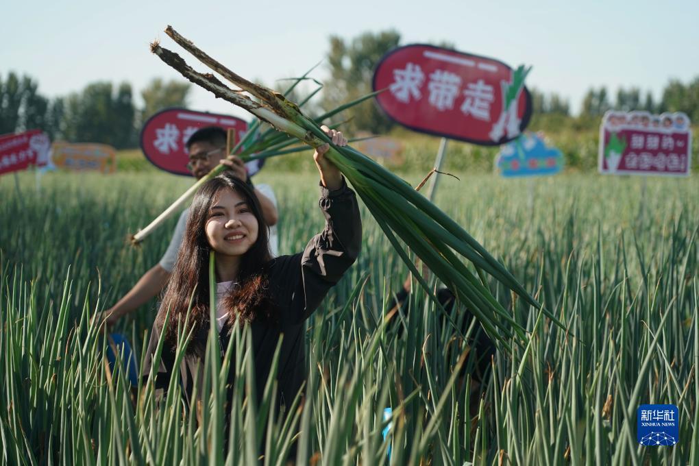 澳门三和彩开奖结果